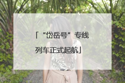 “岱岳号”专线列车正式起航